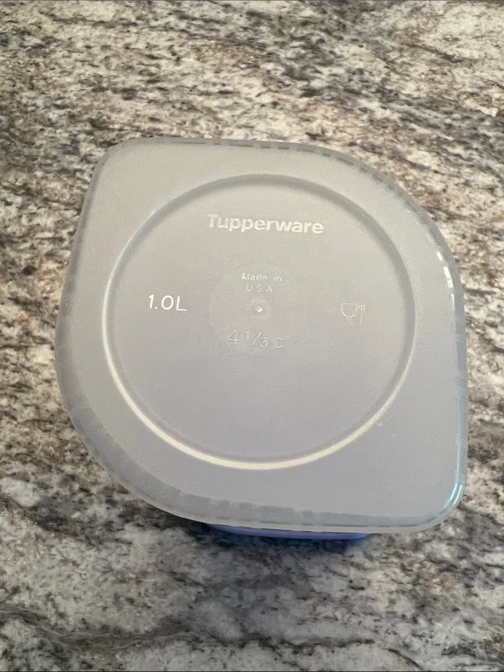 Tupperware Pale Blue Lid Plastic Food Storage Container 1L/ 4 1/3 cup GUC
